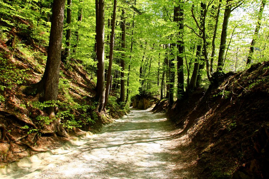 Way of St. James Switzerland hiking trails